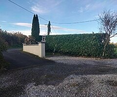 Michael tree Care - Image 5/10