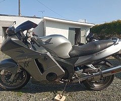 Honda Blackbird