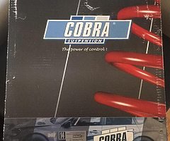 E46 saloon lowering springs