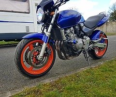 Honda hornet 600 - Image 4/10