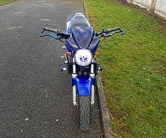 Honda hornet 600 - Image 9/10