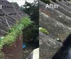 This is TC cleaning services I highly recommend u use these guys very reliable leave no mess behind - Image 3/5