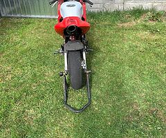 Mini gp 140cc stomp
