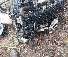 Egin owt of a 09 focus