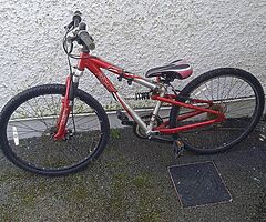 Bonus bike