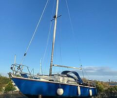 1979 Rebell mark 2 - Image 4/10