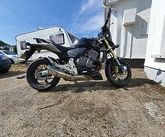 Honda Hornet