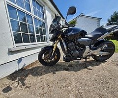 Honda Hornet