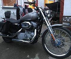 Harley Sportster 883