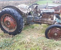 Ferguson 20
