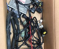 Rapidbike evo 3 met quikeshifter