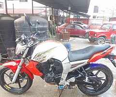 Fz  31lot