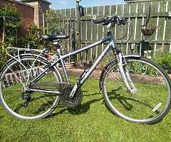Raleigh Hybrid Bike