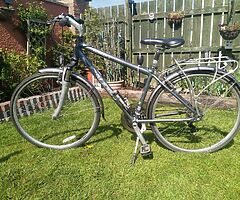 Raleigh Hybrid Bike