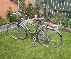 Raleigh Hybrid Bike