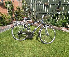 Raleigh Hybrid Bike - Image 5/6