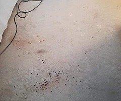 Carpets cleaning