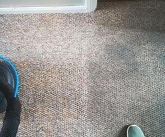Carpets cleaning - Image 4/4