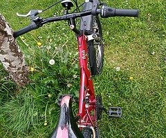 Bike - Image 4/4