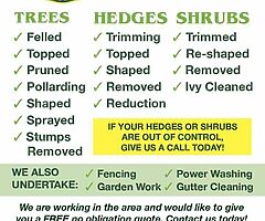 Tree service