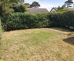 Gardening - Image 4/10