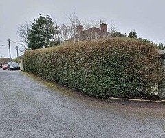 Gardening - Image 6/10