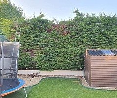 Gardening - Image 7/10