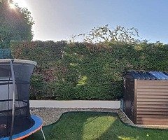 Gardening - Image 8/10