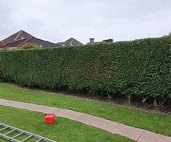 Gardening - Image 9/10