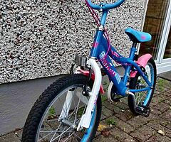 Girls bike excellent condition bargain