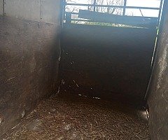 Horse box