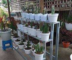 flower stand