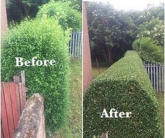 Garden service