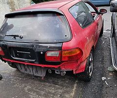 Eg hatch shells