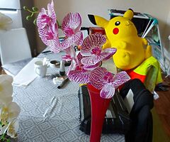 Floowers - Image 5/10