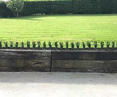 Box Hedging - Image 4/10
