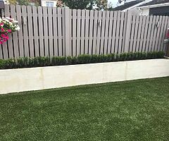 Box Hedging - Image 5/10