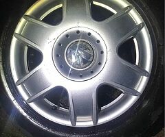 Bora sports for sale