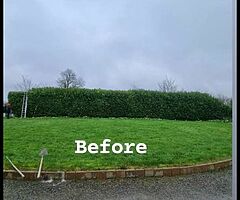 Everlast gardening service