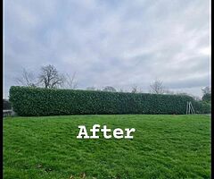Everlast gardening service