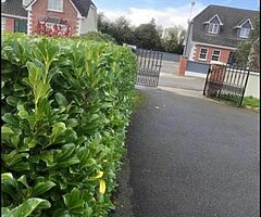 Everlast gardening service - Image 7/10