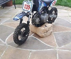 Stomp 100 juicebox
