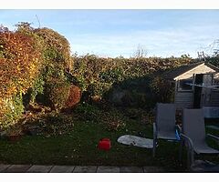 Summer clean up - Image 3/4