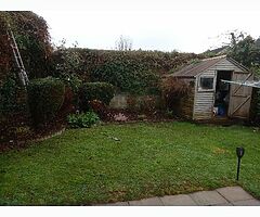 Summer clean up - Image 4/4