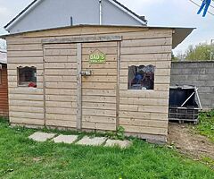OK SHED BACK UP FOR SALE.. Shed 13 foot long by 10 foot wide approx