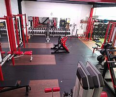 SUMMER BODY FITNESS - Image 7/8