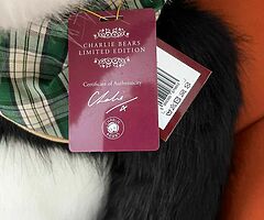 Limited collection Bear " BERWIN"