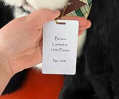 Limited collection Bear " BERWIN" - Image 4/6
