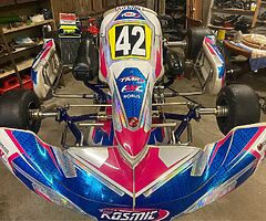 Rotax Max EVO  125cc Kosmic/Tonykart racing kart - Image 5/8