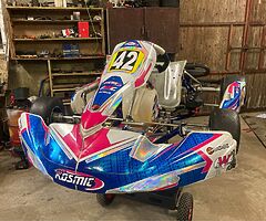 Rotax Max EVO  125cc Kosmic/Tonykart racing kart - Image 8/8